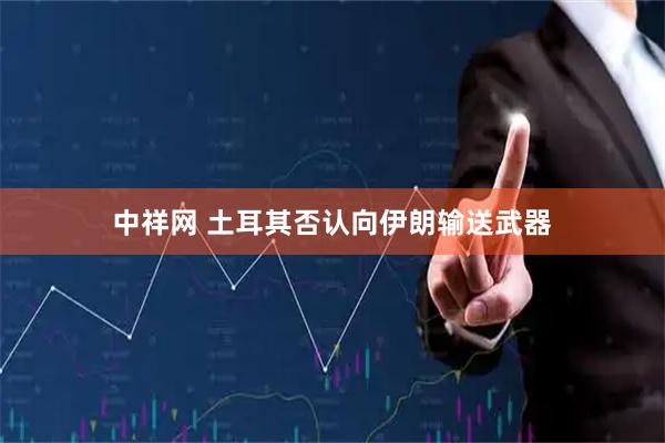 中祥网 土耳其否认向伊朗输送武器