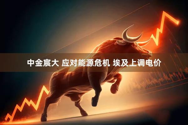 中金宸大 应对能源危机 埃及上调电价