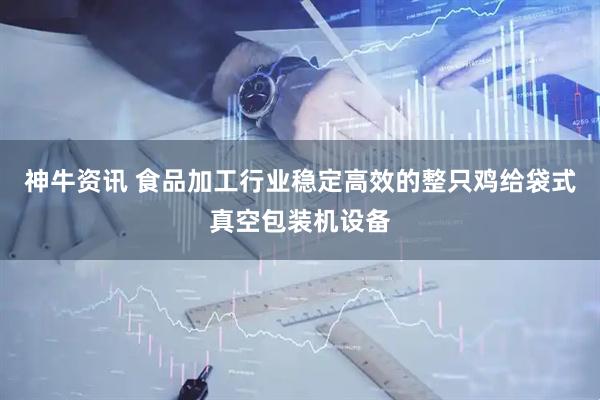 神牛资讯 食品加工行业稳定高效的整只鸡给袋式真空包装机设备