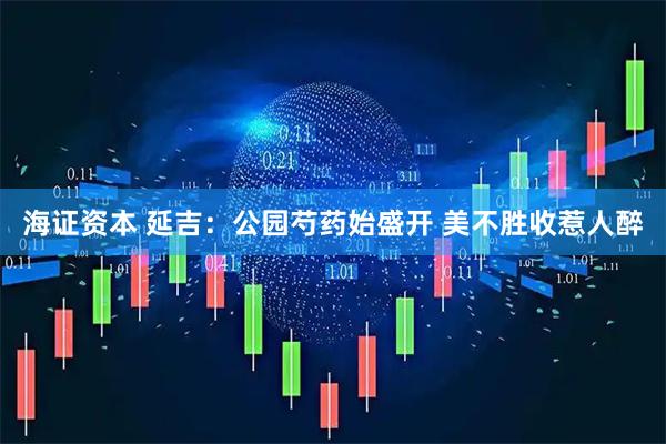 海证资本 延吉：公园芍药始盛开 美不胜收惹人醉