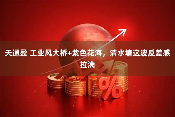 天通盈 工业风大桥+紫色花海，清水塘这波反差感拉满