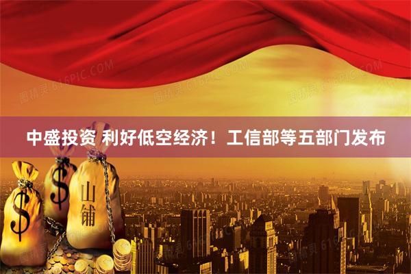 中盛投资 利好低空经济！工信部等五部门发布
