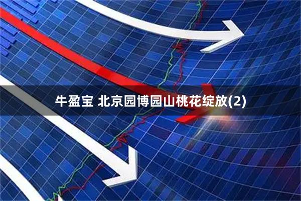 牛盈宝 北京园博园山桃花绽放(2)