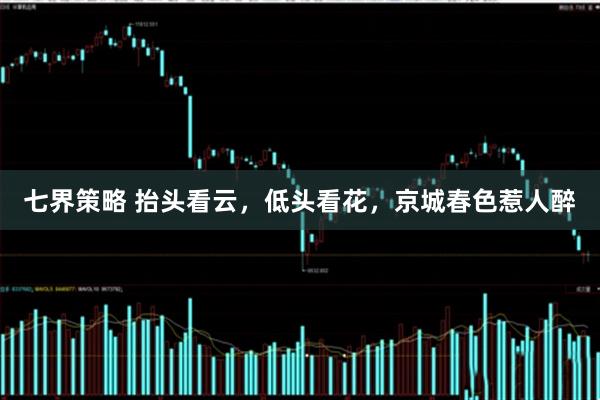 七界策略 抬头看云，低头看花，京城春色惹人醉