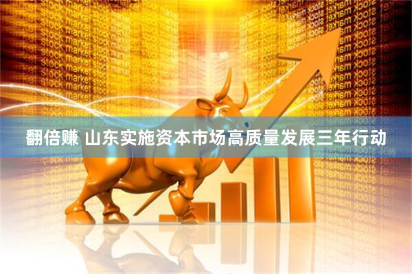翻倍赚 山东实施资本市场高质量发展三年行动