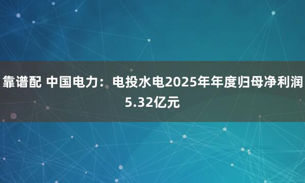 靠谱配 中国电力：电投水电2025年年度归母净利润5.32亿元