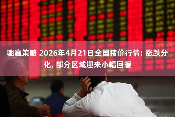 驰赢策略 2026年4月21日全国猪价行情: 涨跌分化, 部分区域迎来小幅回暖