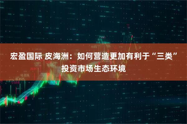 宏盈国际 皮海洲：如何营造更加有利于“三类”投资市场生态环境