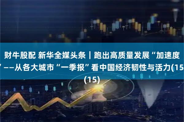 财牛股配 新华全媒头条｜跑出高质量发展“加速度”——从各大城市“一季报”看中国经济韧性与活力(15)