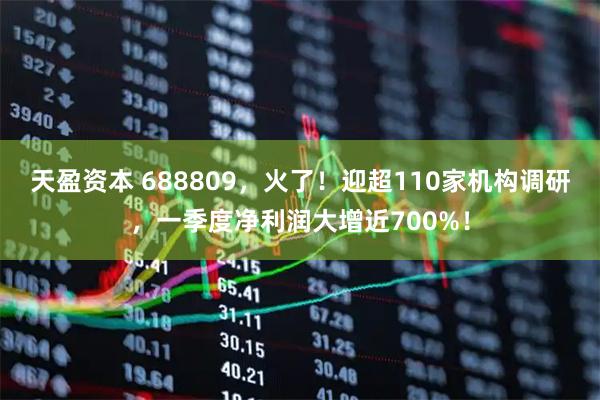 天盈资本 688809，火了！迎超110家机构调研，一季度净利润大增近700%！