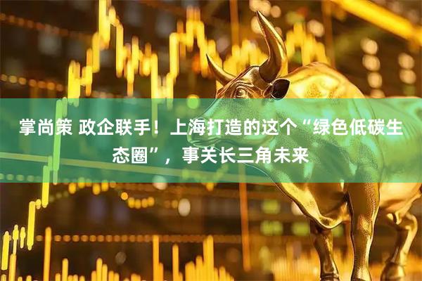 掌尚策 政企联手！上海打造的这个“绿色低碳生态圈”，事关长三角未来